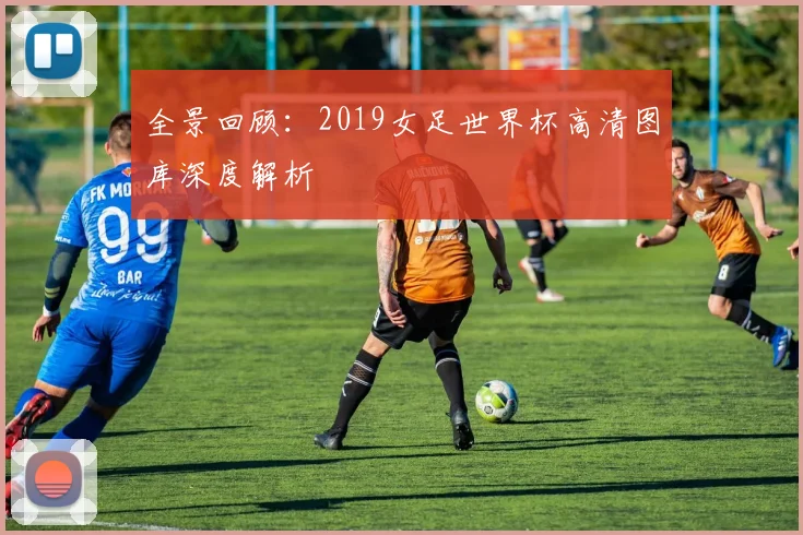 全景回顾：2019女足世界杯高清图库深度解析